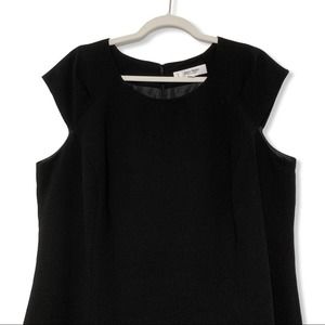 JONES STUDIO knee length lined dress, size 16W